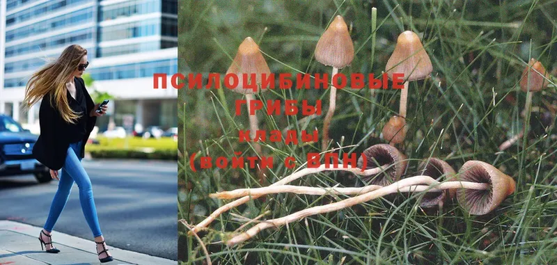 ссылка на мегу tor  купить наркоту  Сатка  Галлюциногенные грибы MAGIC MUSHROOMS 